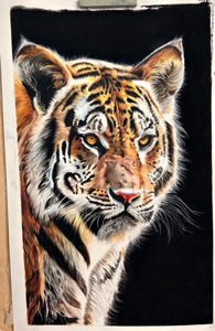 نمونه کار نقاشی با مدادرنگی